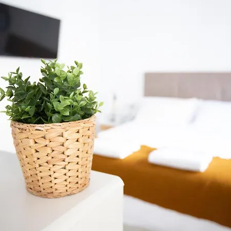 Turistico Mis Rayitos アパート コルドバ