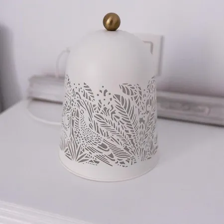 Turistico Mis Rayitos