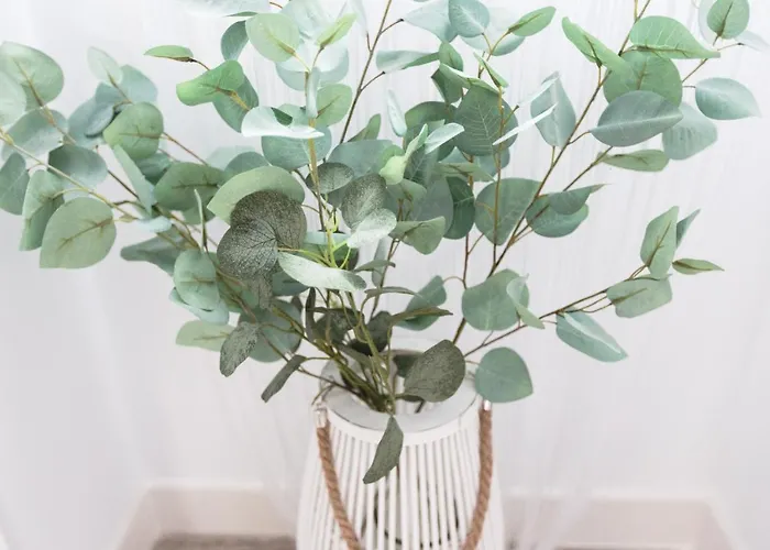 דירה Turistico Mis Rayitos *