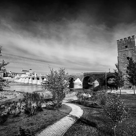 Appartement Turistico Mis Rayitos Cordoue
